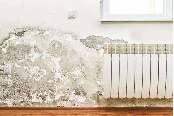 5 top tips for averting dry rot disasters 136400047768303901 150827153903 min